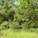Alzano Lombardo (BG) - Via Meer